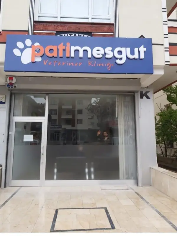 Patimesgut'un lacivert tabelalı klinik girişi